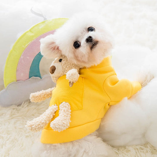 Cute Teddy Bear Pet Clothes for Cats (Two-Legged)