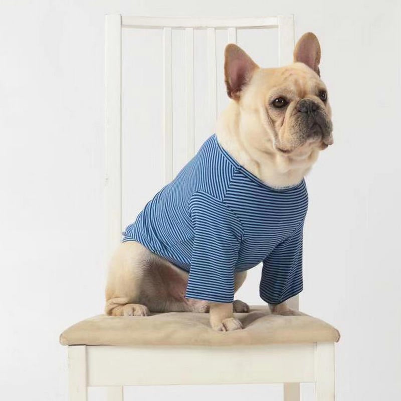 Casual Wholesale Pet Clothes for Dogs and Puppies