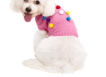 High-End Winter Pet Clothes for Bulldogs and Pugs