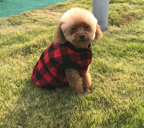 Hooded Pet Clothes - Thick Dog Vest - New Style