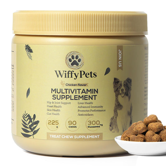 11-in-1 Dog Multivitamin for Small Medium & Large Breed DogVitamin Dog Treat Dog Vitamins and Supplements Vitamin Mixture for Skin & Coat by WiffyPetsBoosts Immunity | 90 CountChicken