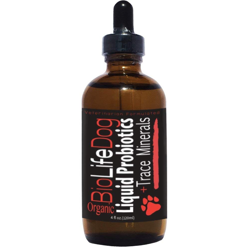 LiviaOne BioLifePet Liquid Probiotics for Dogs Organic Dog Probiotic Supplements Puppy and Dog Pet Probiotics 4 Fl Oz (Pack of 1)