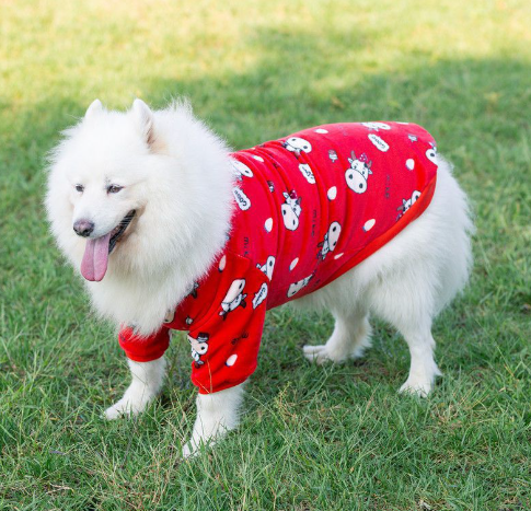 Fashion Pet Clothes for Dog Transformation Dress