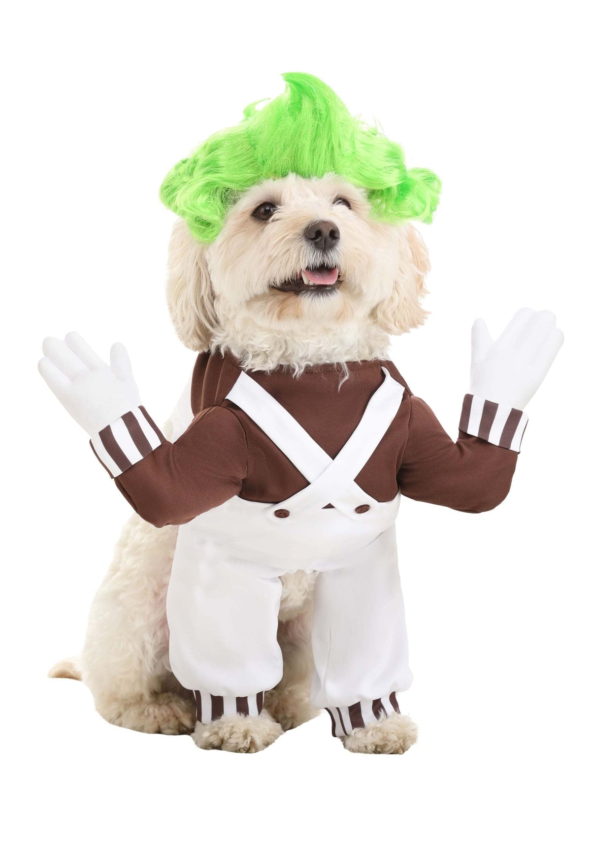 Fun Costumes Willy Wonka Pets Oompa Loompa Outfit for Dogs and Cats Chocolate Factory Worker XL
