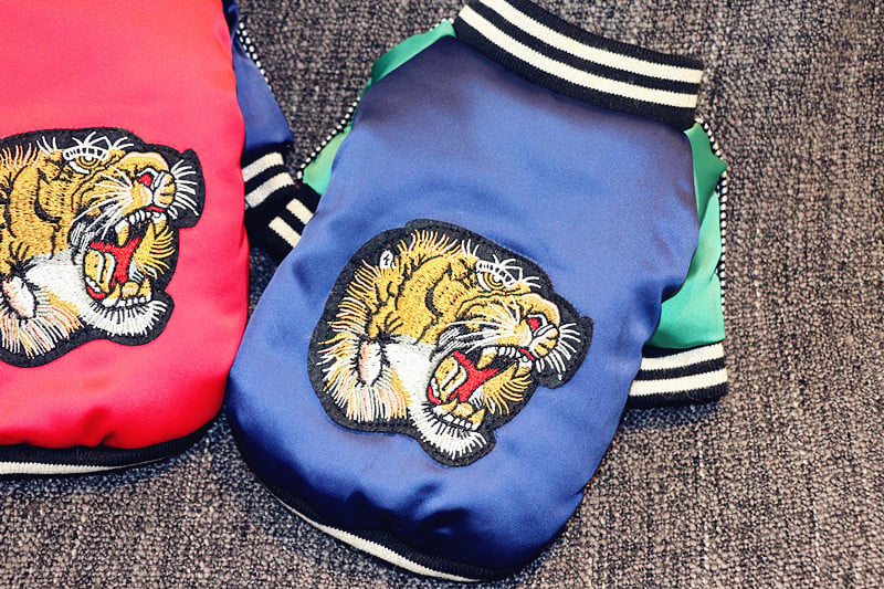 Tiger Head Pet Clothes with Two Legs