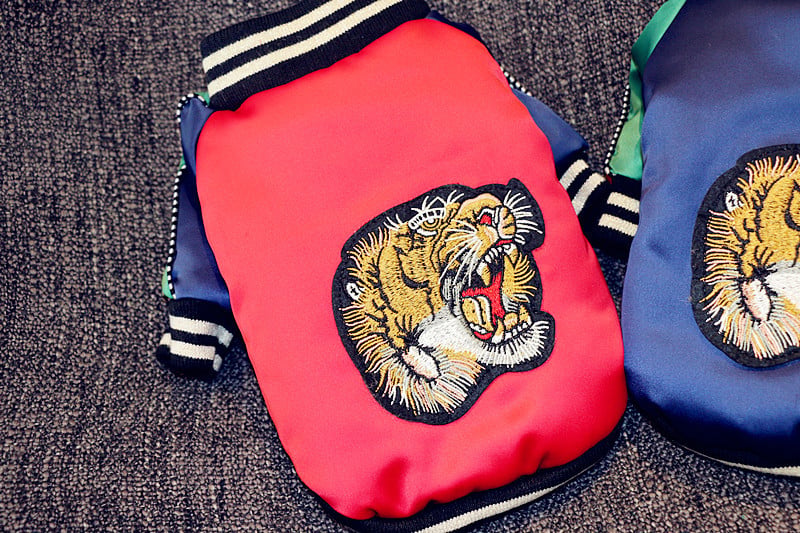 Tiger Head Pet Clothes with Two Legs