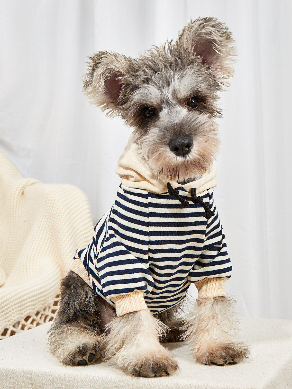 Hooded Striped Sweater for Dogs - Pet Fashion Wear