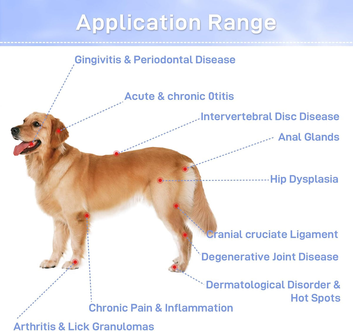 Educational diagram of a Golden Retriever showing the application range of VetRelief Pro laser therapy, including treatment for Hip Dysplasia, Arthritis, Gingivitis, Acute & Chronic Otitis, and Degenerative Joint Disease.