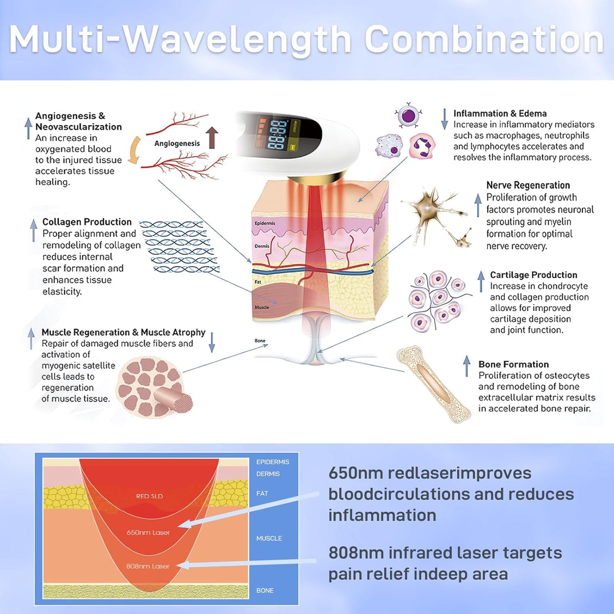Scientific diagram showing how VetRelief Pro combines a 650nm red laser to improve surface blood circulation and a powerful 808nm infrared laser to penetrate deep into the bone for pain relief. The diagram also illustrates cellular benefits like collagen production, nerve regeneration, and reduced inflammation.